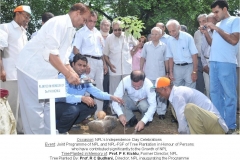 Tree Plantation 2010