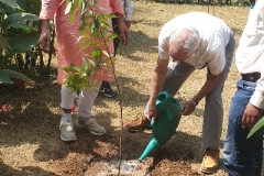 Tree Plantation Of Dated 01.10.2024