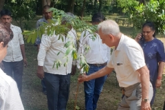 Tree-Plantation-1