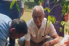 Tree-Plantation-2