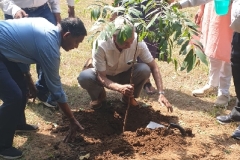 Tree-Plantation-3